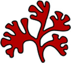 Genome editing in macroalgae: advances and challenges.
