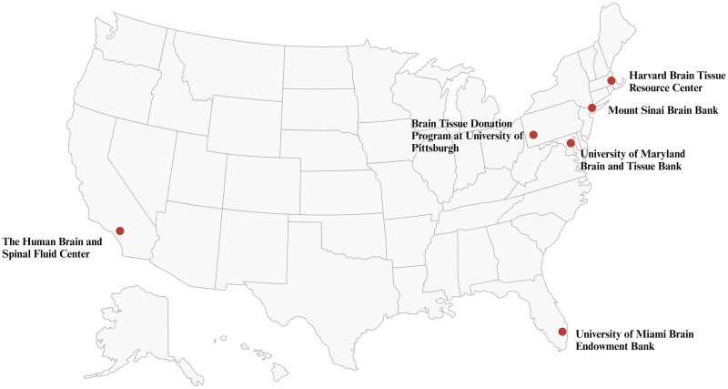Abstract Image