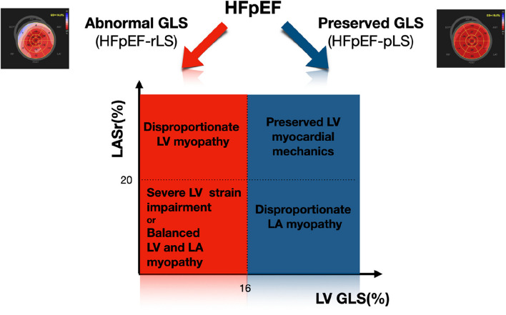 Left ventricular and atrial myocardial strain in heart failure with preserved ejection fraction: the evidence so far and prospects for phenotyping strategy.