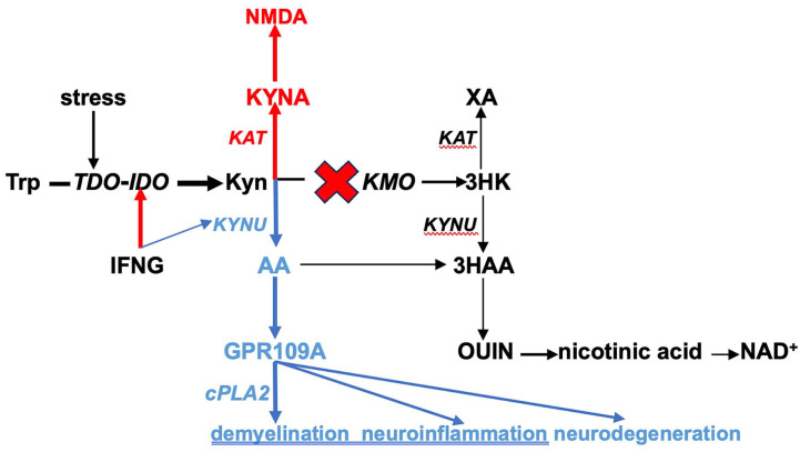 Anthranilic Acid, a GPR109A Agonist, and Schizophrenia.