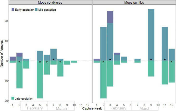 Kenyan Free-Tailed Bats Demonstrate Seasonal Birth Pulse Asynchrony with Implications for Virus Maintenance.