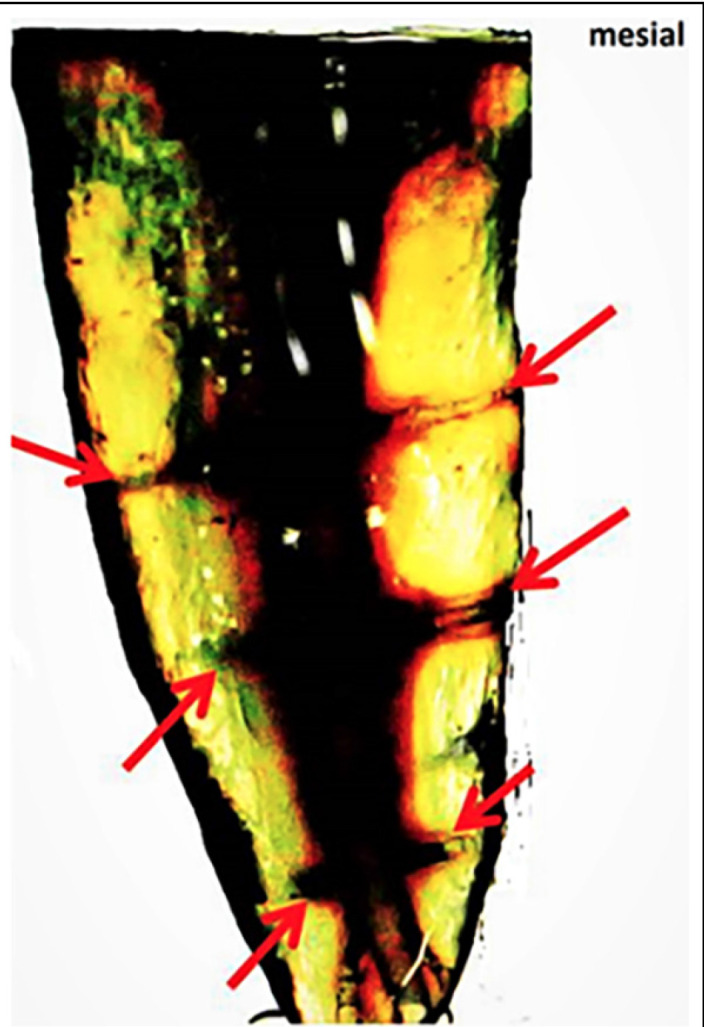 Abstract Image