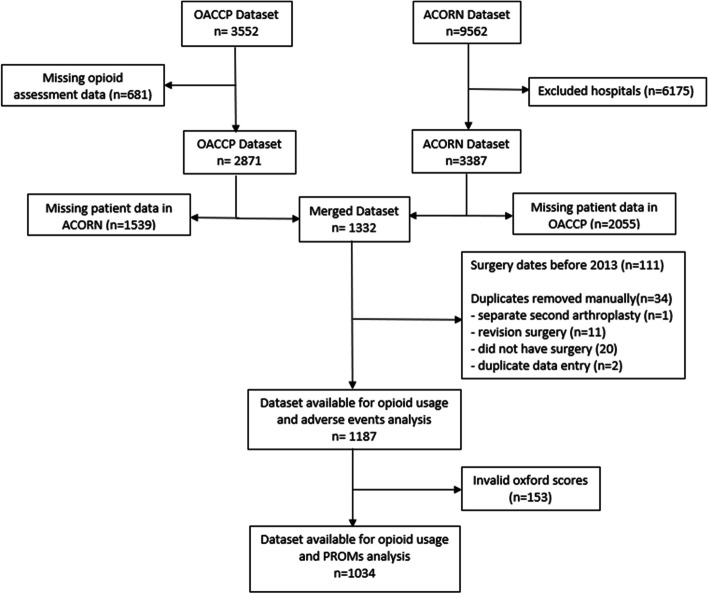 Does preoperative opioid use predict outcomes to 6 months following primary unilateral knee or hip arthroplasty for osteoarthritis? A data-linked retrospective study.