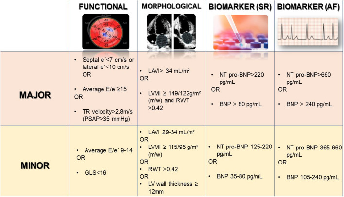 Left ventricular and atrial myocardial strain in heart failure with preserved ejection fraction: the evidence so far and prospects for phenotyping strategy.