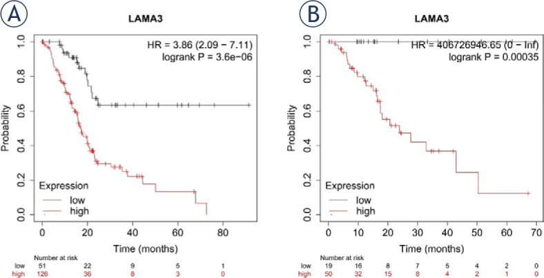 Correlation of laminin subunit alpha 3 expression in pancreatic ductal adenocarcinoma with tumor liver metastasis and survival.