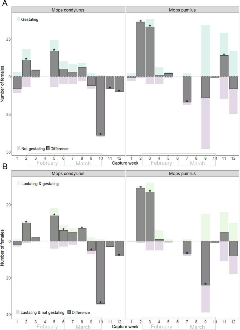 Kenyan Free-Tailed Bats Demonstrate Seasonal Birth Pulse Asynchrony with Implications for Virus Maintenance.