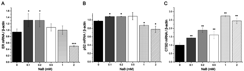 Uncovering a novel mechanism: Butyrate induces estrogen receptor alpha activation independent of estrogen stimulation in MCF-7 breast cancer cells.