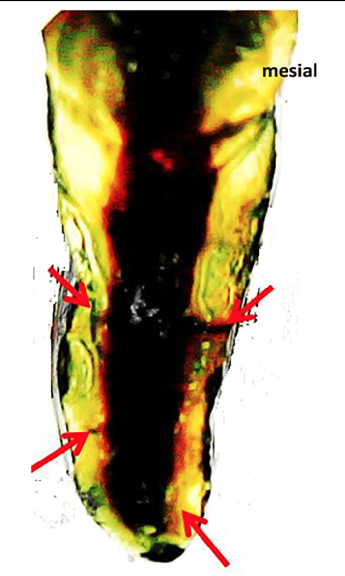 Abstract Image