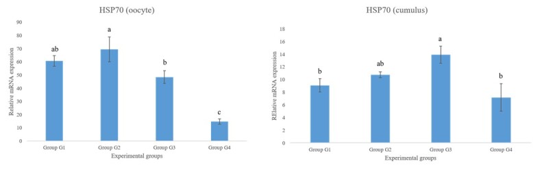 Use of platelet-rich plasma on in vitro maturation during bovine embryo production.