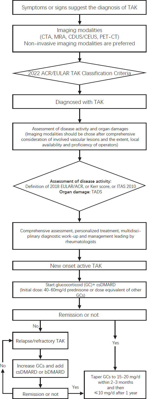 Chinese guideline for the diagnosis and treatment of Takayasu's arteritis (2023).