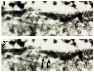 Abstract Image