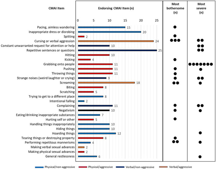 Care partner evaluation of the behaviors in the Cohen-Mansfield Agitation Inventory.