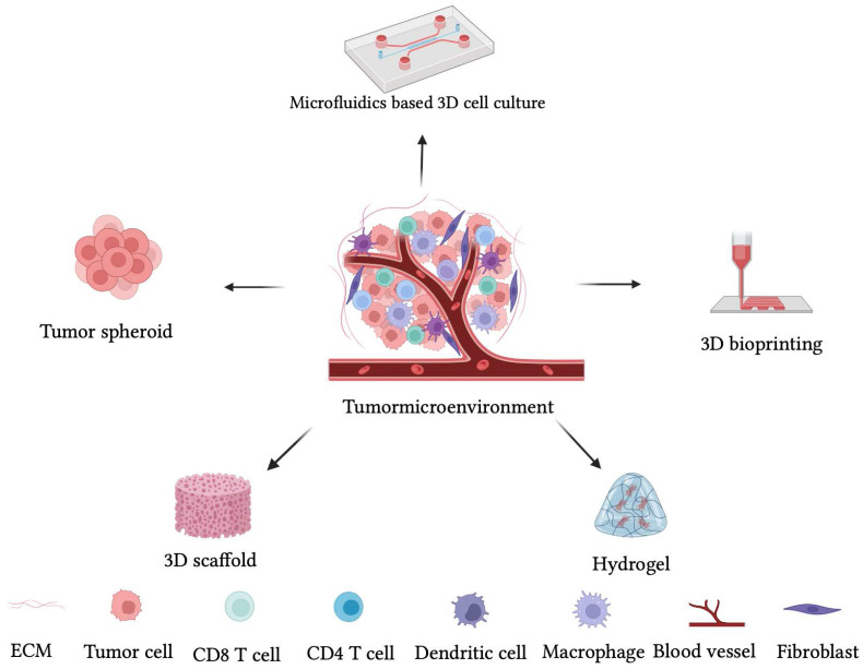 Knockout cancer by nano-delivered immunotherapy using perfusion-aided scaffold-based tumor-on-a-chip.