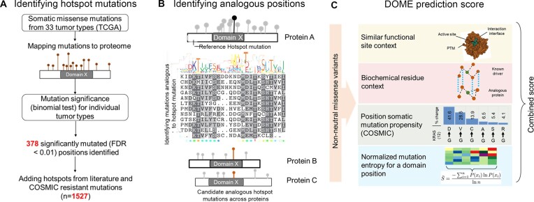 Singleton mutations in large-scale cancer genome studies: uncovering the tail of cancer genome.