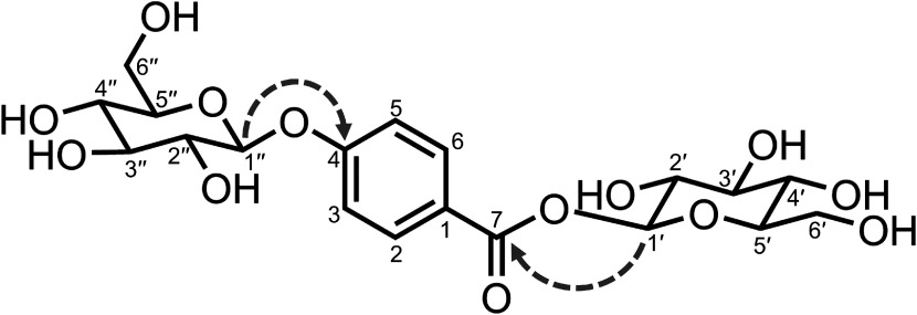 Identification of a di-glucose conjugate of 4-hydroxybenzoic acid in bamboo cells expressing bacterial 4-hydroxycinnamoyl-CoA hydratase/lyase.