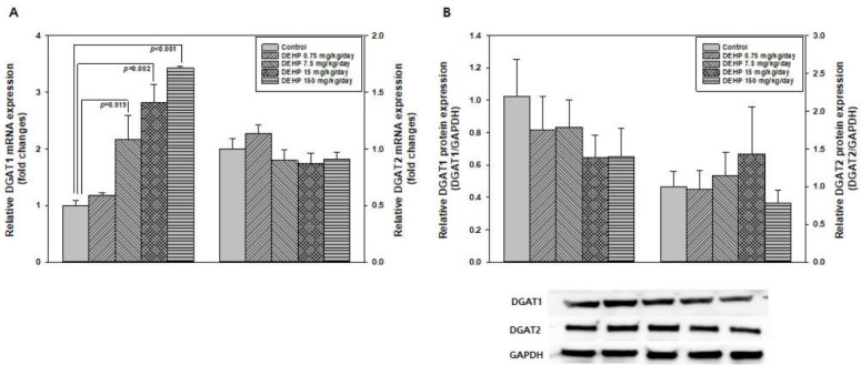 Short-term exposure to di(2-ethylhexyl)phthalate may disrupt hepatic lipid metabolism through modulating the oxidative stress in male adolescent rats.