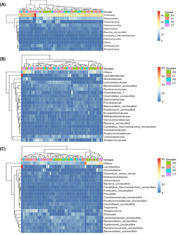 Comparison of the fecal microbiota with high- and low performance race horses.