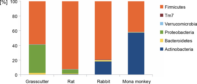 Assessing the microbial diversity and proximate composition of smoked-fermented bushmeat from four different bushmeat samples.