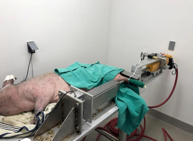 Preclinical models of orthopaedic trauma: Orthopaedic Research Society (ORS) and Orthopaedic Trauma Association (OTA) symposium 2022.