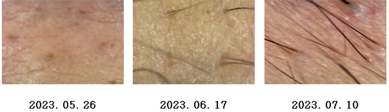 Abstract Image