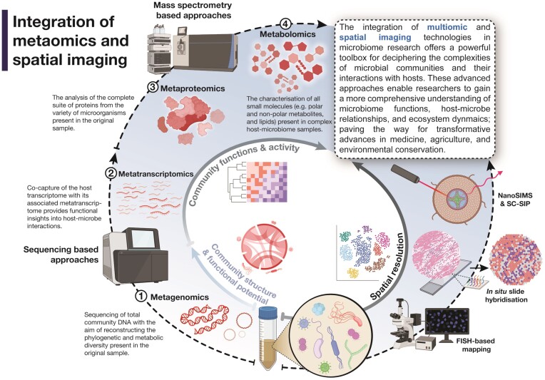 Life at the borderlands: microbiomes of interfaces critical to One Health.