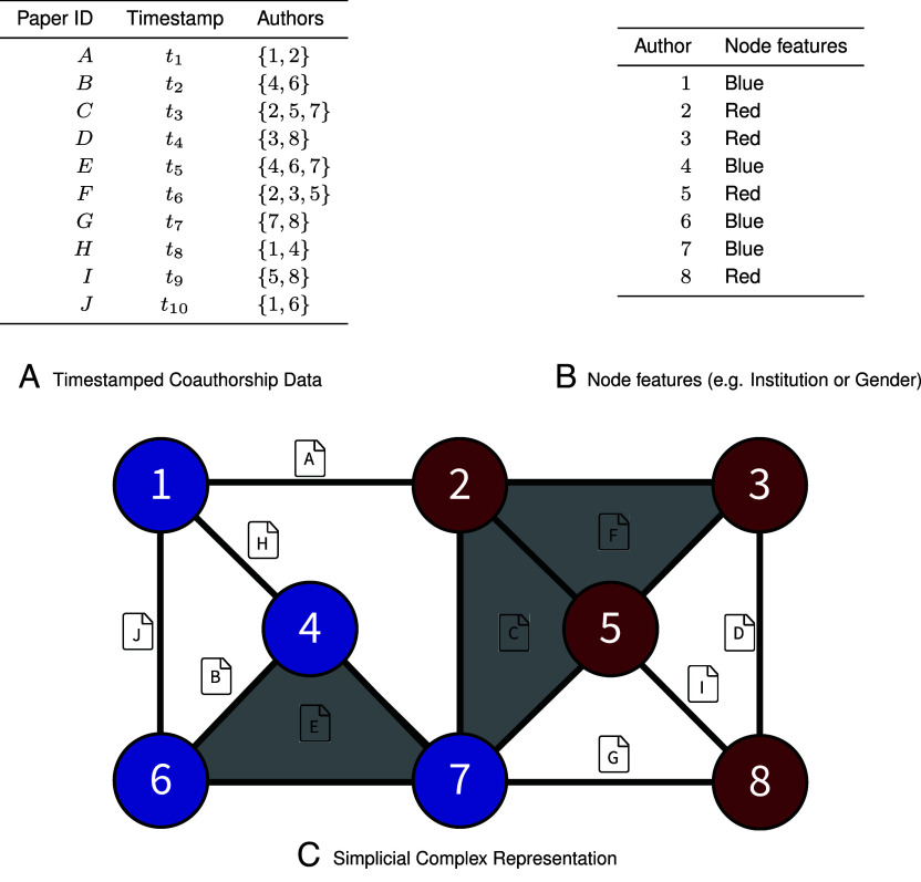 Higher-order homophily on simplicial complexes.
