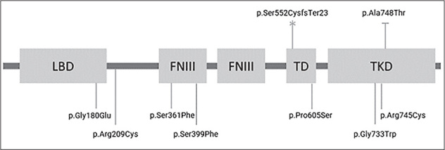 <i>EPHA4</i> Genetic Variant in a Patient with Epilepsy, Ophthalmological Anomalies, and Neurodevelopmental Delay.