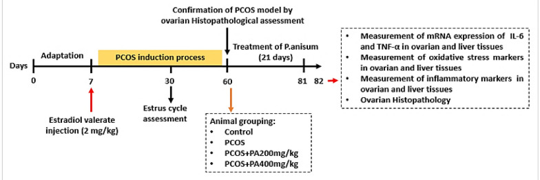 Therapeutic Effects of <i>Pimpinella anisum</i> Fruit Extract on Polycystic Ovary Syndrome in a Rat Model: Emerging Role of Inflammatory Responses and Oxidative Stress.
