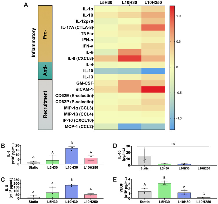 Mechanoregulation of MSC spheroid immunomodulation.