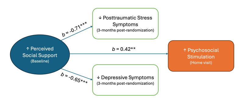 The Role of Social Support in Perinatal Mental Health and Psychosocial Stimulation.