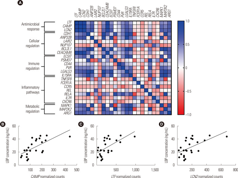 Gut Microbiome and Metabolic and Immune Indices in Males with or without Evidence of Metabolic Dysregulation.