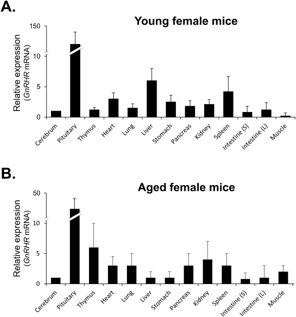 Gonadotropins Regulate the mRNA Expression of Gonadotropin-Releasing Hormone and Its Receptors in the Mouse Ovary and Uterus.