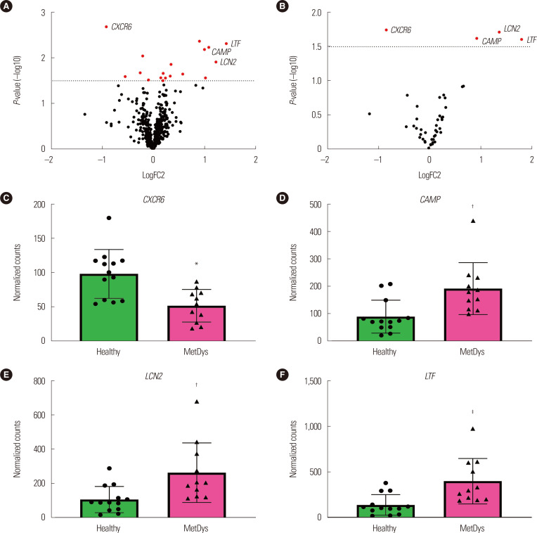 Gut Microbiome and Metabolic and Immune Indices in Males with or without Evidence of Metabolic Dysregulation.