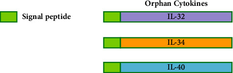 A Comprehensive Review on the Role of Interleukin-40 as a Biomarker for Diagnosing Inflammatory Diseases.