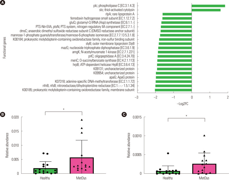 Gut Microbiome and Metabolic and Immune Indices in Males with or without Evidence of Metabolic Dysregulation.