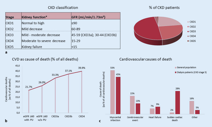 Increased cardiovascular risk in patients with chronic kidney disease.