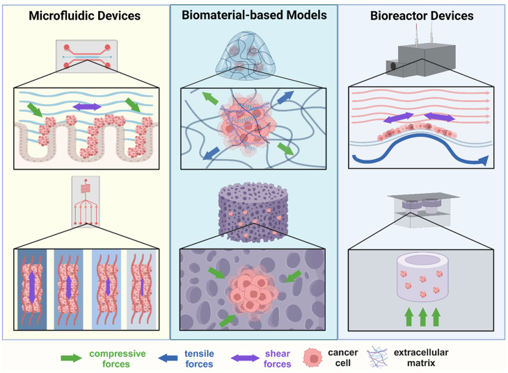 Advances in cancer mechanobiology: Metastasis, mechanics, and materials.