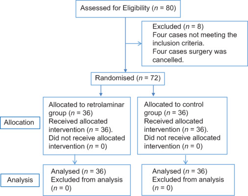 Retrolaminar block for opioid-free anaesthesia and enhanced recovery after posterior lumbar discectomy: A randomised controlled study.