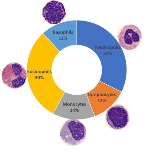 Empowering healthcare professionals with no-code artificial intelligence platforms for model development, a practical demonstration for pathology.