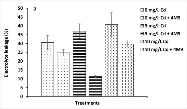 Alleviation of Cadmium Stress in Rice Seedlings Inoculated with <i>Enterobacter tabaci</i> 4M9 (CCB-MBL 5004).