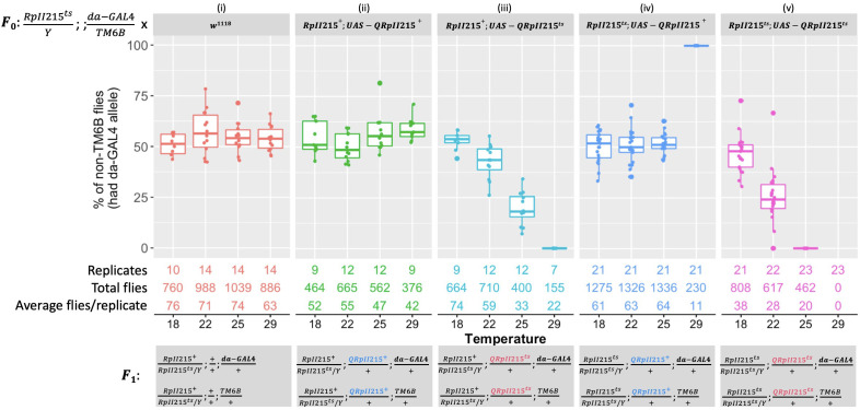 Conservation of <i>shibire</i> and <i>RpII215</i> temperature-sensitive lethal mutations between <i>Drosophila</i> and <i>Bactrocera tryoni</i>.