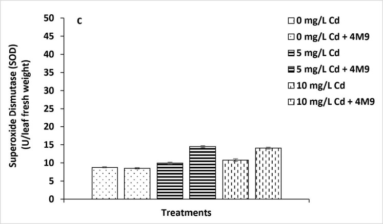 Alleviation of Cadmium Stress in Rice Seedlings Inoculated with <i>Enterobacter tabaci</i> 4M9 (CCB-MBL 5004).
