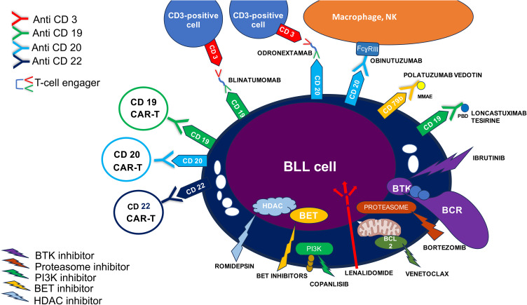 Refractory Burkitt Lymphoma: Diagnosis and Interventional Strategies.