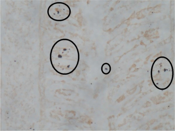 Abstract Image