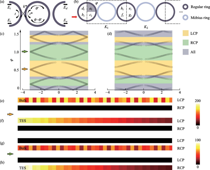 Spin-controlled topological phase transition in non-Euclidean space.