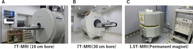 Preclinical magnetic resonance imaging and spectroscopy in the fields of radiological technology, medical physics, and radiology.