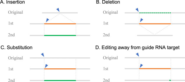 Scarless genome editing technology and its application to crop improvement.