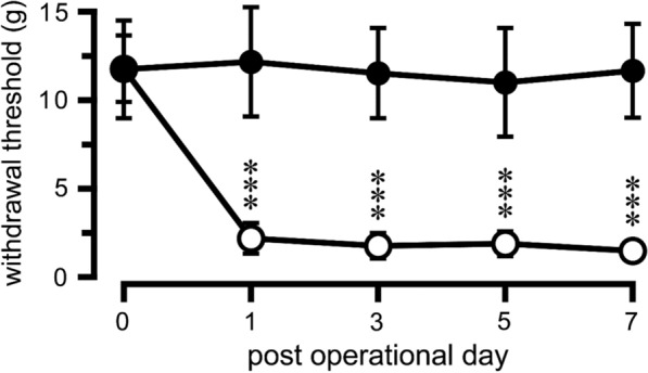 Alteration of serotonin release response in the central nucleus of the amygdala to noxious and non-noxious mechanical stimulation in a neuropathic pain model rat.