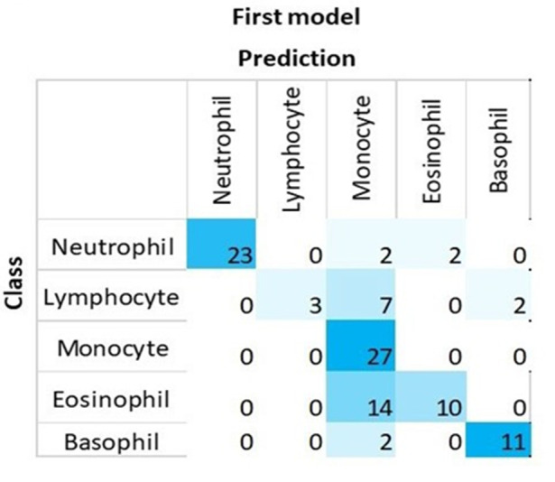 Empowering healthcare professionals with no-code artificial intelligence platforms for model development, a practical demonstration for pathology.