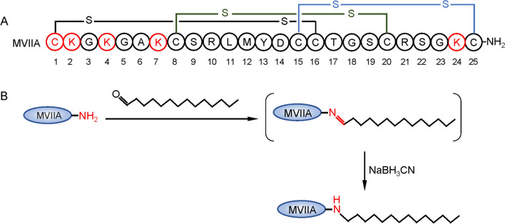 Reductive amination of ω-conotoxin MVIIA: synthesis, determination of modification sites, and self-assembly